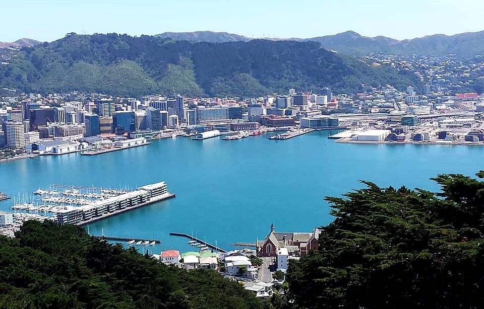 Wellington cruise port - View of Harbour