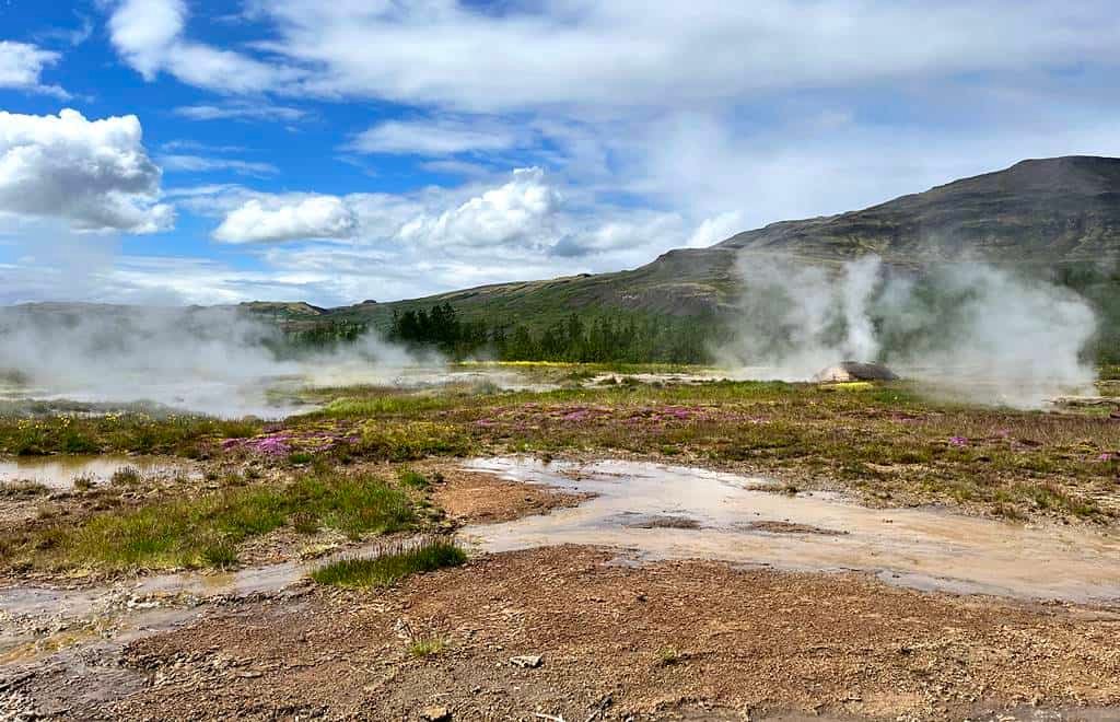 Golden Circle tour from Reykjavik cruise port - Geysir Area